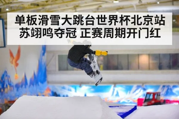 单板滑雪大跳台世界杯北京站苏翊鸣夺冠 正赛周期开门红