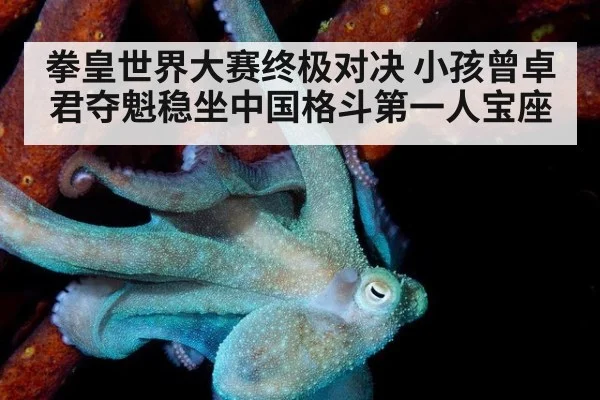 拳皇世界大赛终极对决 小孩曾卓君夺魁稳坐中国格斗第一人宝座